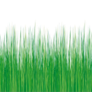 Decorative film My Way - Image 3