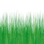 Adhäsionsfolie Gras