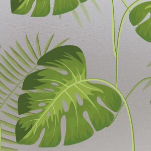 Static film leaves Selva - Image 4