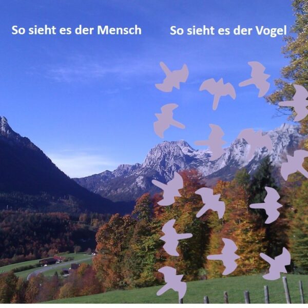 Birdsticker Dr. Kolbe Birdsticker Dr. Kolbe