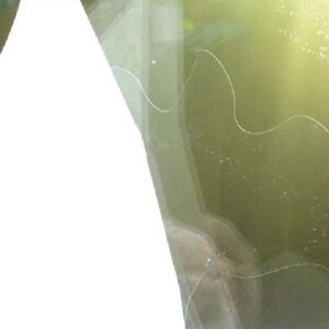 Birdsticker Nahaufnahme