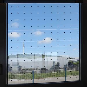 Vogelschutzfolie Wingsafe verklebt auf einem Bürofenster