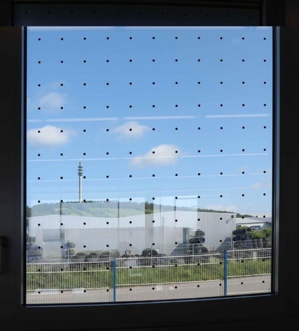 Vogelschutzfolie Wingsafe verklebt auf einem Bürofenster